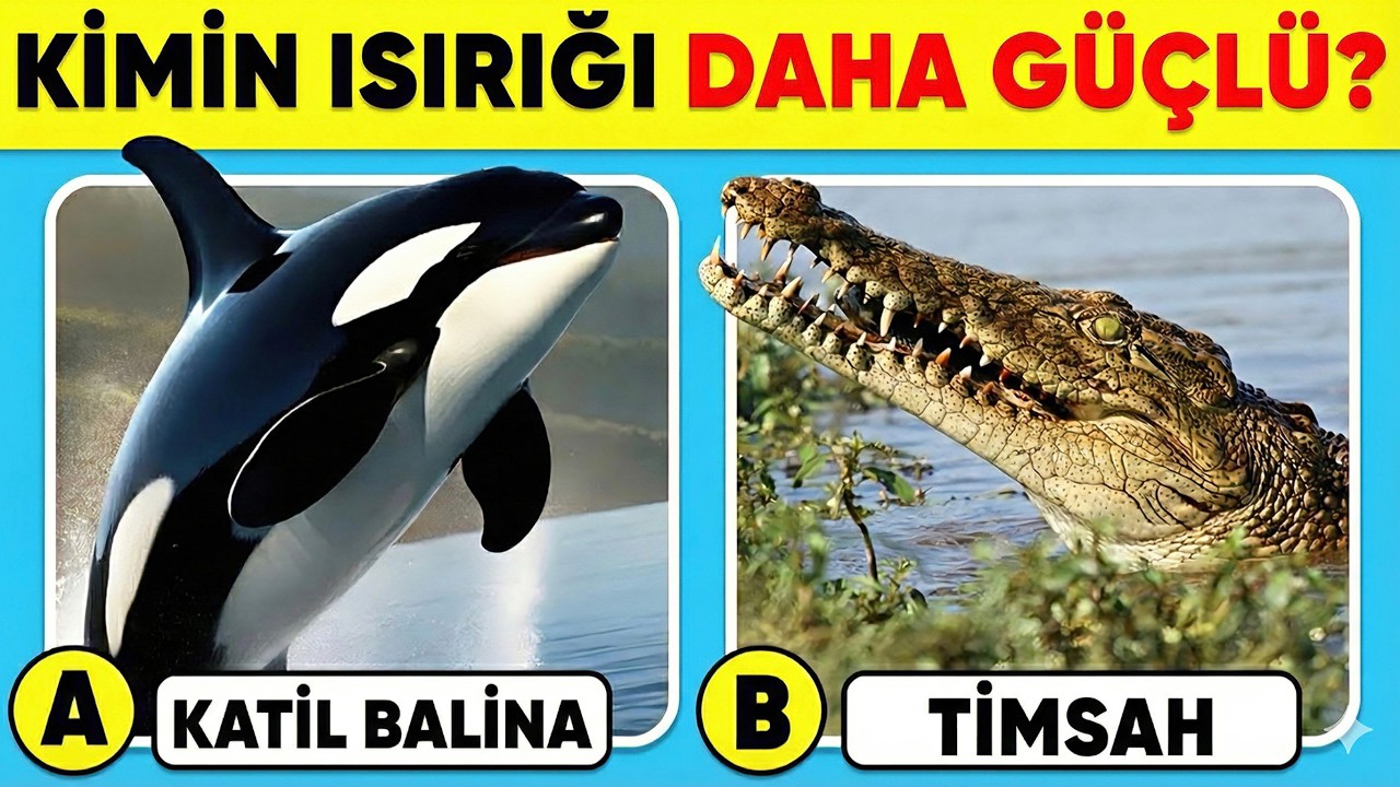 Hayvanları Ne Kadar İyi Biliyorsun? 🏆🐯✅ Genel Kültür Bilgi Testi🧠