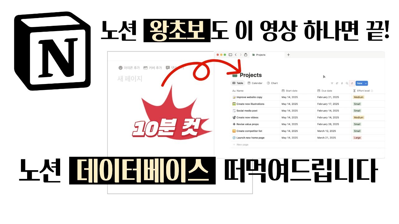 99%는 지금 당장 노션 실력 한 단계 업그레이드 되는 놀라운 영상! 노션 쉽게 쓰고 싶은 분들 다 모이세요!