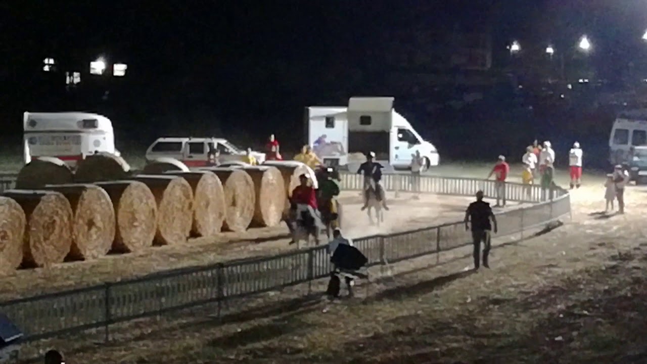 Palio del somaro 2017 [mercatello sul metauro] [seconda manch ]