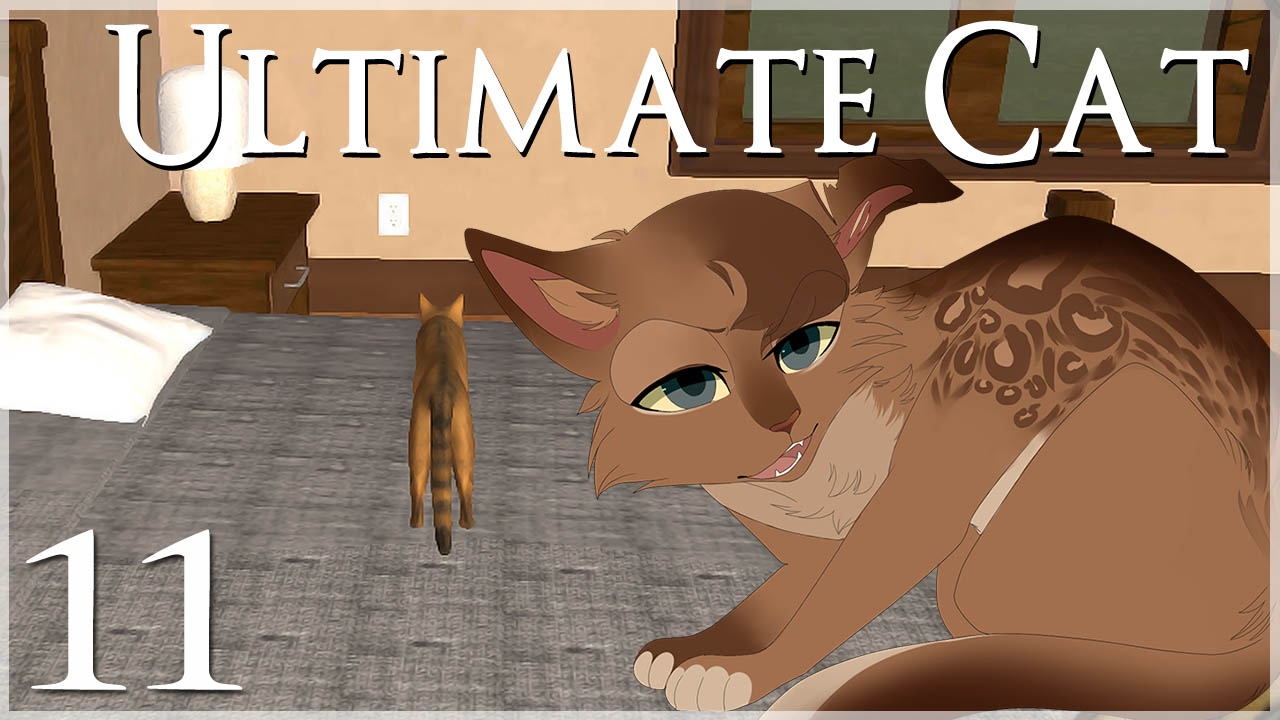 Preparing for Caffeinated Kittens!! • Ultimate Cat Simulator - Episode #11