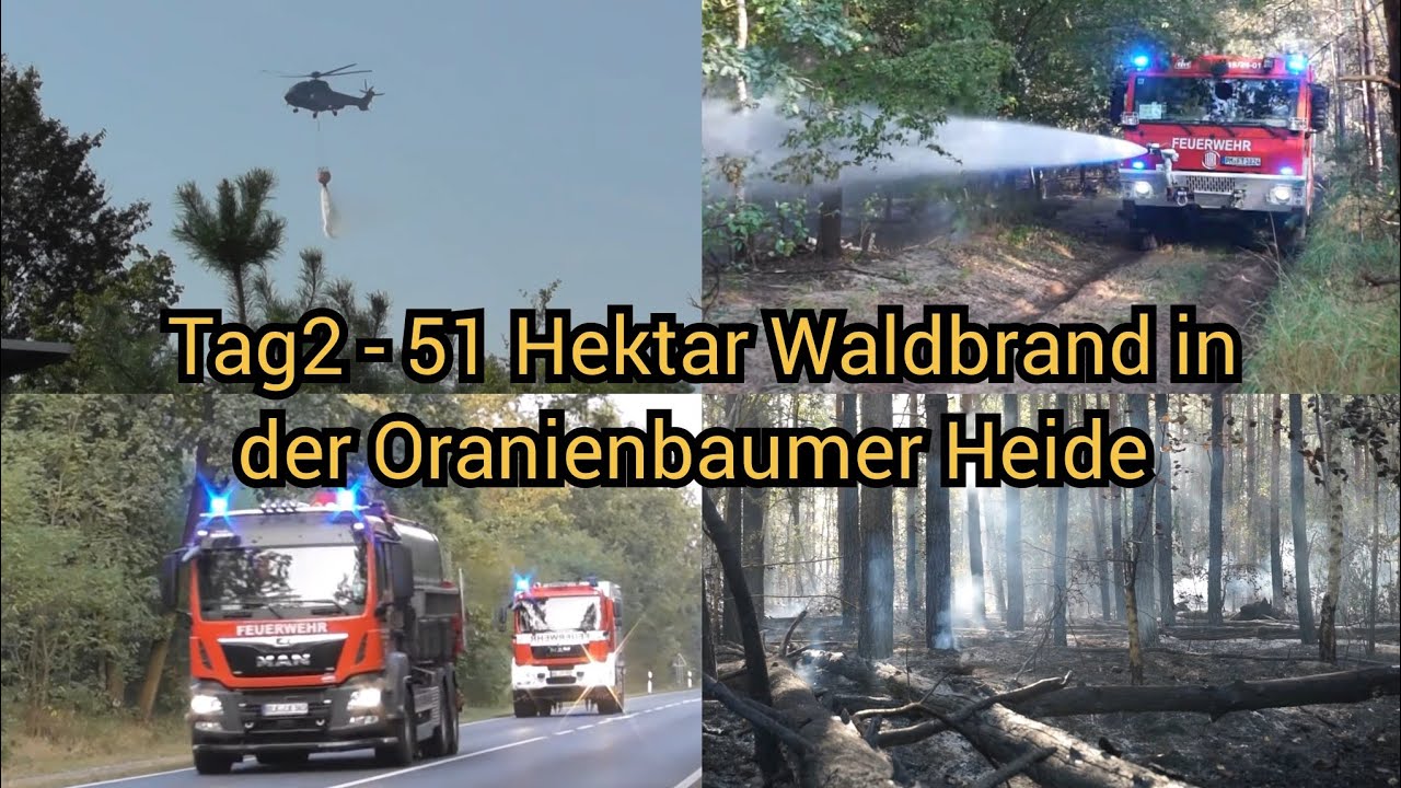Waldbrand in Oranienbaumer Heide - 260 Kräfte im Einsatz gegen die Glut - Exklusiv Videos + O-Ton