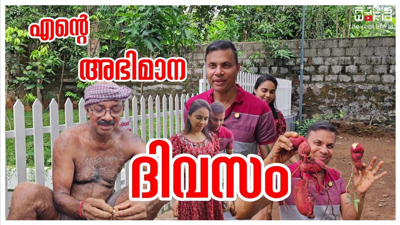 എന്റെ അഭിമാന ദിവസം..❤️/Healthy Snacks/Agriculture/Vegetable harvest /Village cooking/Nadan lifestyle