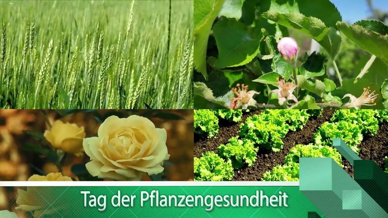 Tag der Pflanzengesundheit