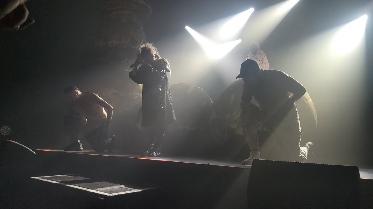 Der Ultimative DIE ANTWOORD Winter Wonderland 2024 Tour Batschkapp Frankfurt Vlog | First Row 4K