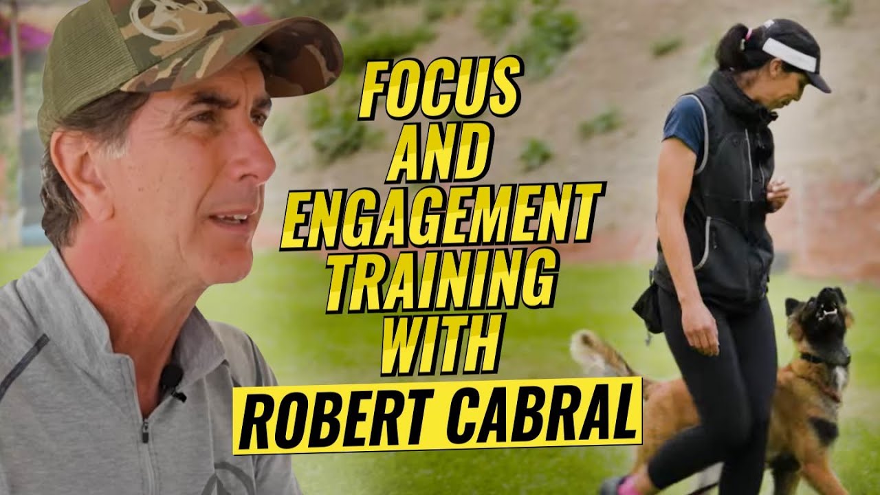 Unlocking Focus and Engagement in Dog Training with Robert Cabral
