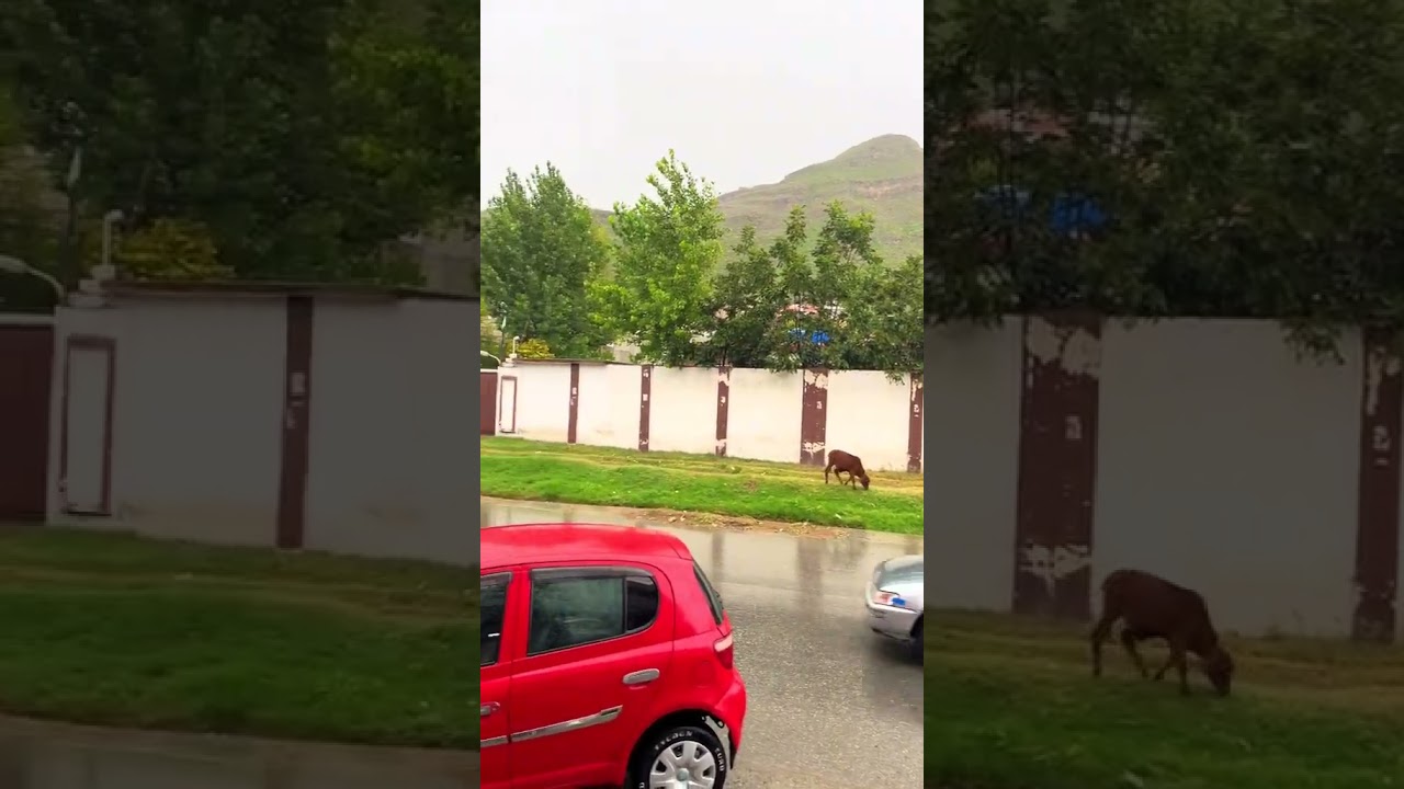 Rainy weather in Barikot Swat 