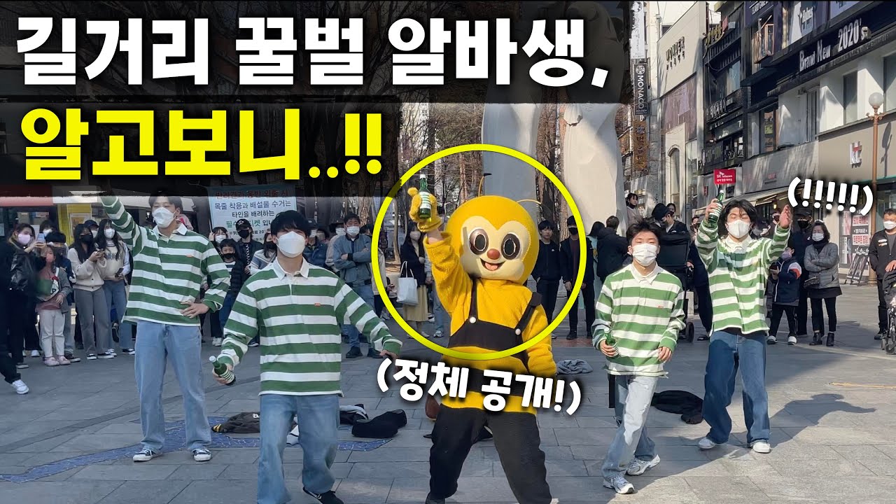 길거리 꿀벌 알바생인줄 알았는데 알고보니...? Honeybee Part-time Worker Busking!?