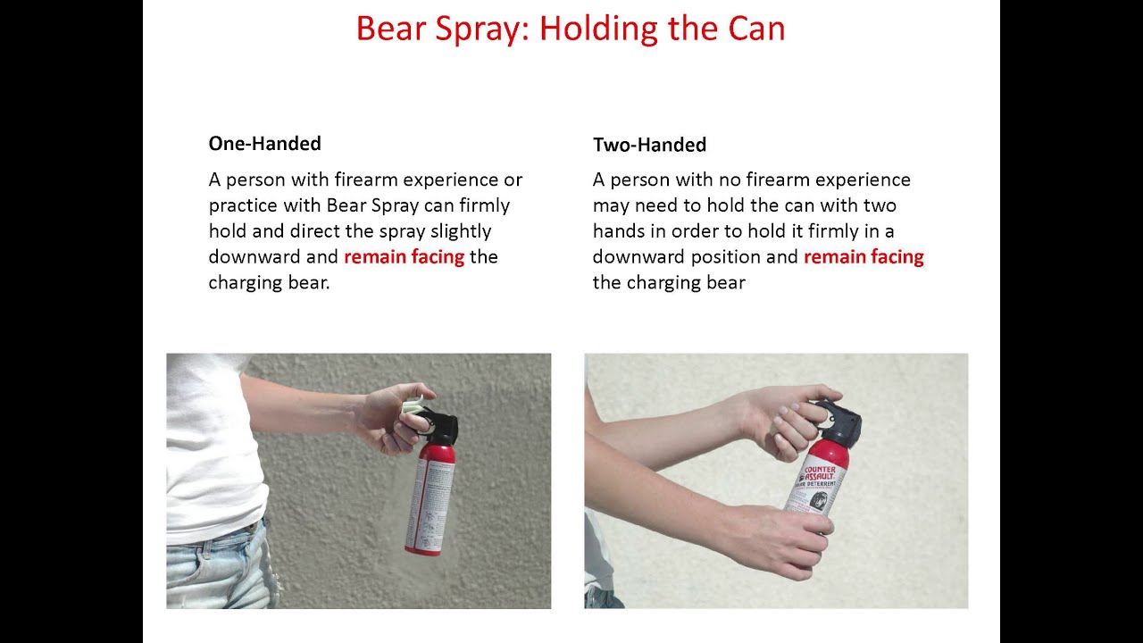 Bearspray WORKS - Educational PowerPoint