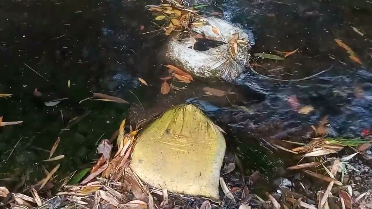 मेरा गाँव का नदी 🌊 | Gaon Ki Nadi 