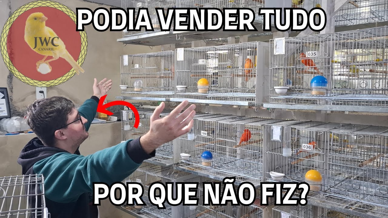 POR QUE NÃO VENDEMOS TODOS CANÁRIOS E COMPRAMOS SÓ OS MELHORA PRA CONCURSO? #canariljwc #canário