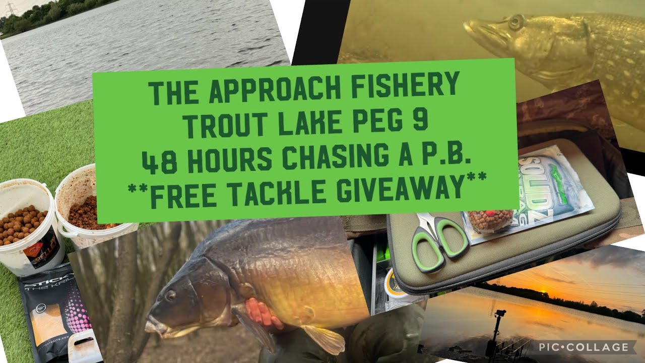 The approach fisheries - trout lake. 48 hours May 2024.