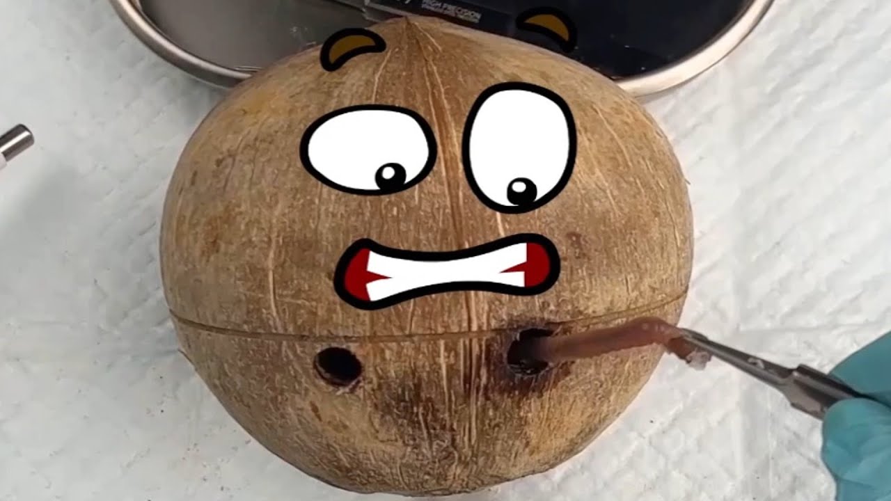 Unleash Endless Laughter with Unforgettable Animated Doodles