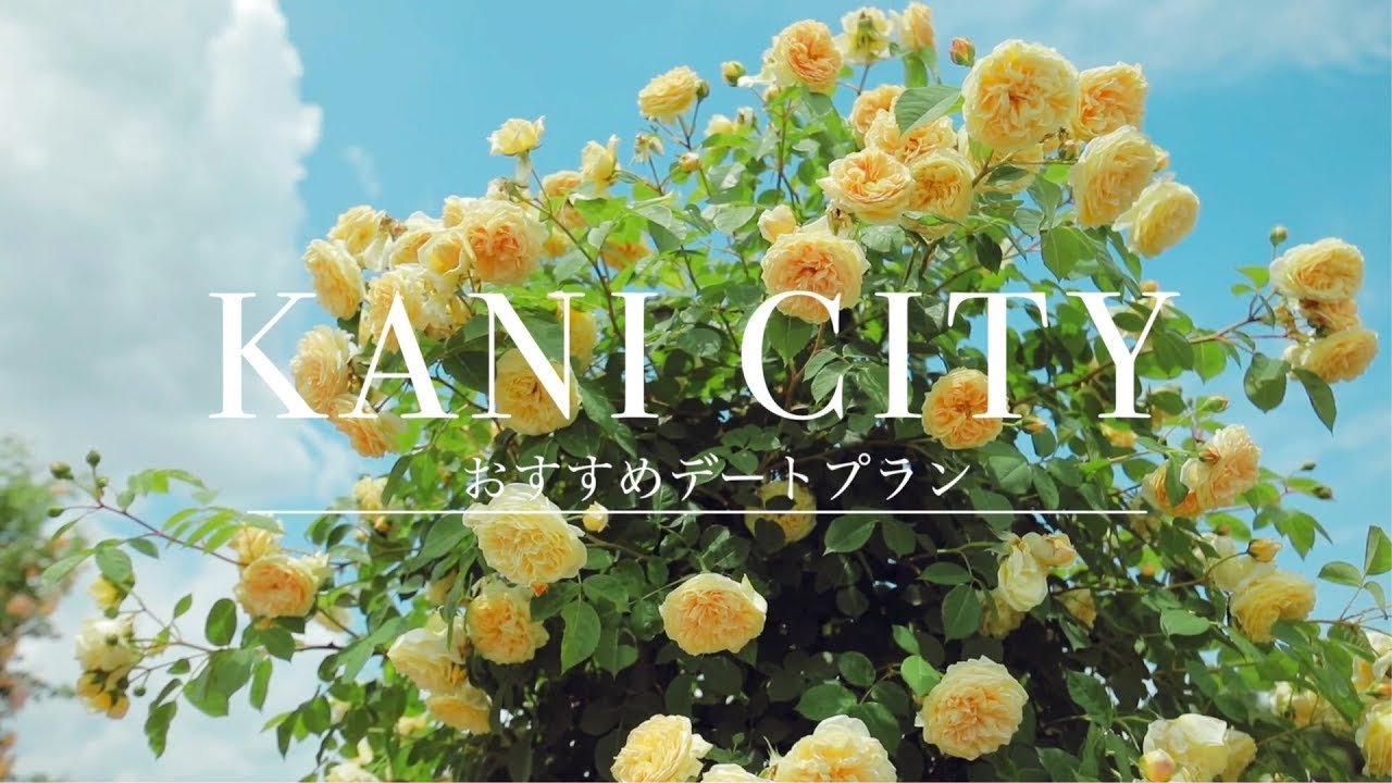 可児市おすすめデートプラン