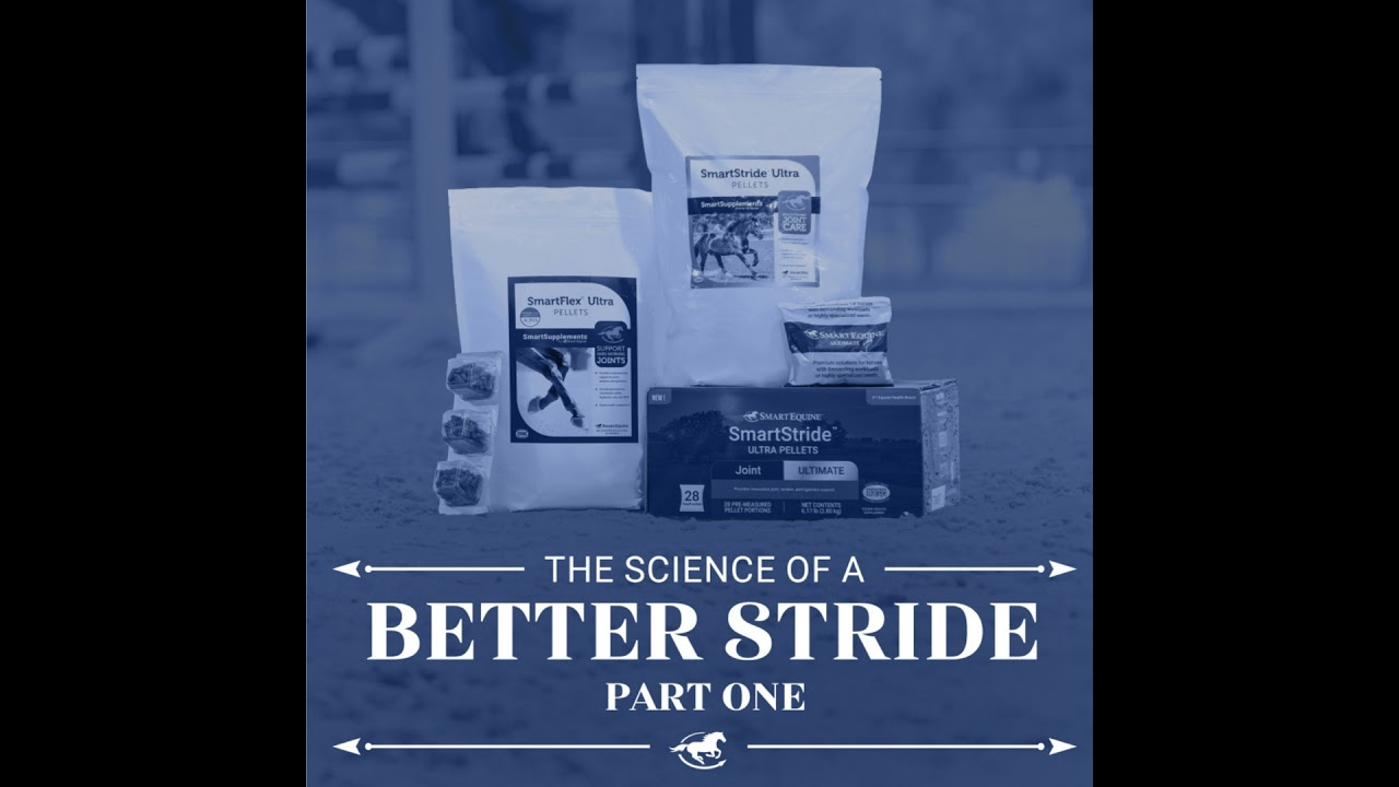 The Science of a Better Stride (Part 1)