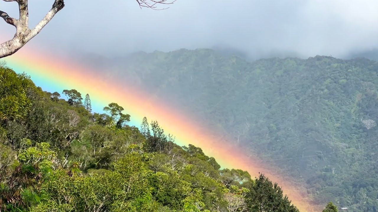 Honolulu in December | A Quiet Look at a Tropical Christmas