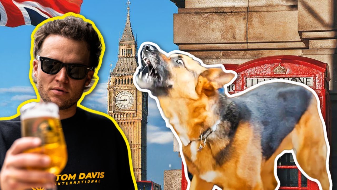 HE STRUGGLED WITH HIS DOG FOR 3 YEARS UNTIL... Tom Davis trains dogs in the UK!