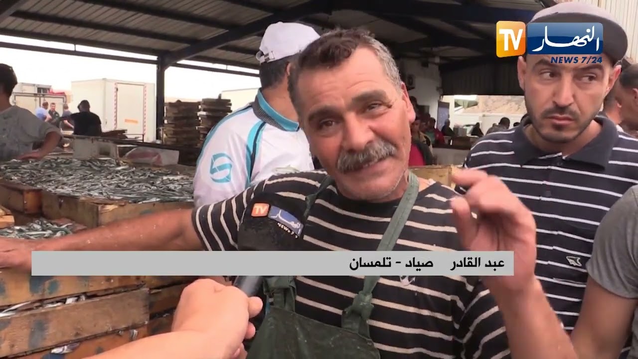 تلمسان: وفرة في السمك بميناء الغزوات وبأسعار تنافسية