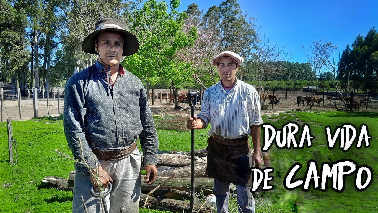 Crecieron con LUZ de VELAS, AGUA de POZO y no ven a su FAMILIA por MESES | El DURO trabajo de CAMPO