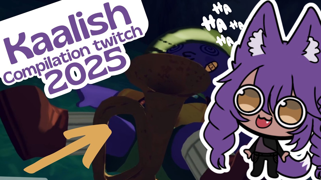 LES ZINZIN DE 2025 (compilation twitch)