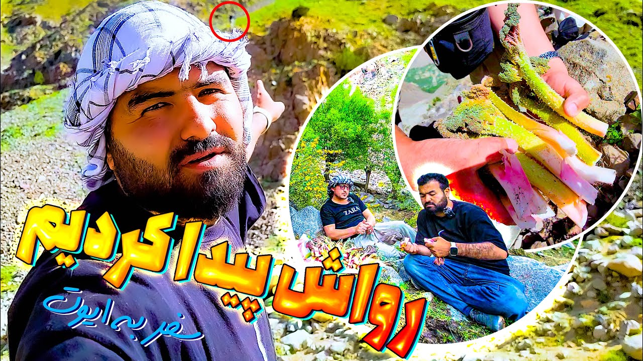 در جستجوی رواش؛ به بلندای کوه ورسج سفر کردیم