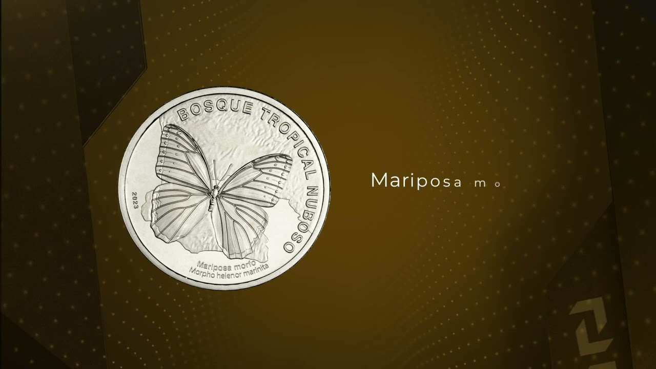 4/6 Nueva moneda de 50 colones