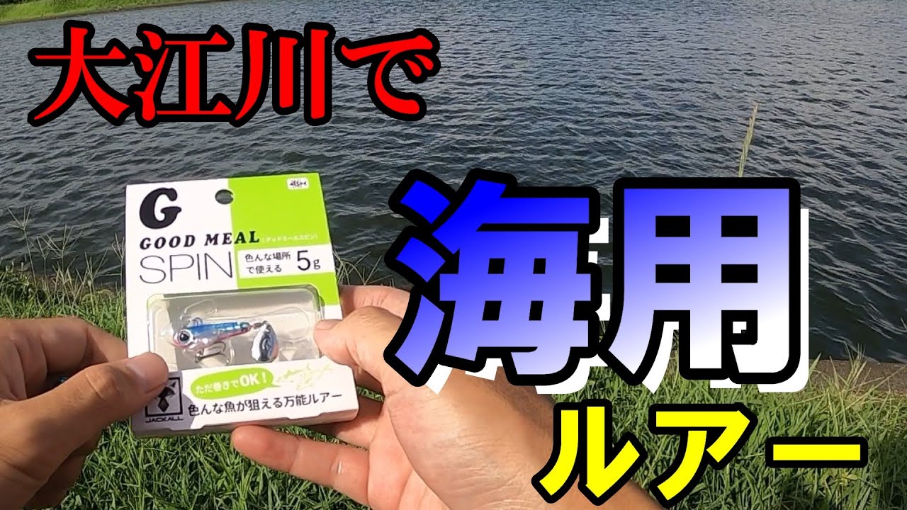 『海用ルアーで爆釣！釣れる＋安い＝買い！』(バス釣り 大江川 オカッパリ グッドミールスピン ジャッカル　)
