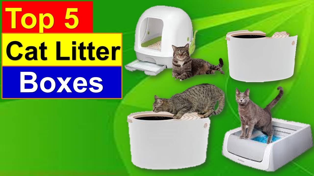 ✅TOP 5 Best Cat Litter Boxes