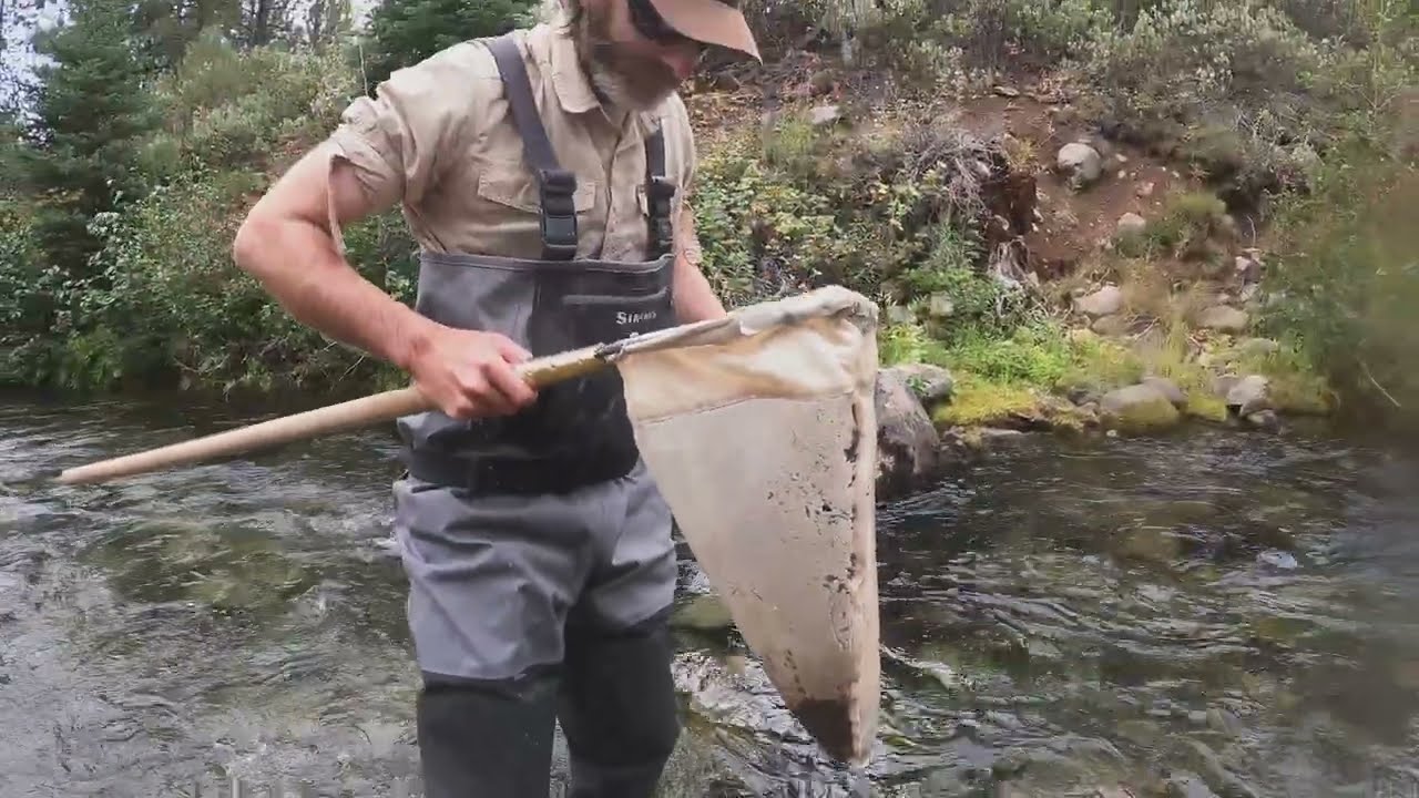 Benthic Macroinvertebrate Sampling 2022 Tumalo Creek Upper Deschutes River Basin