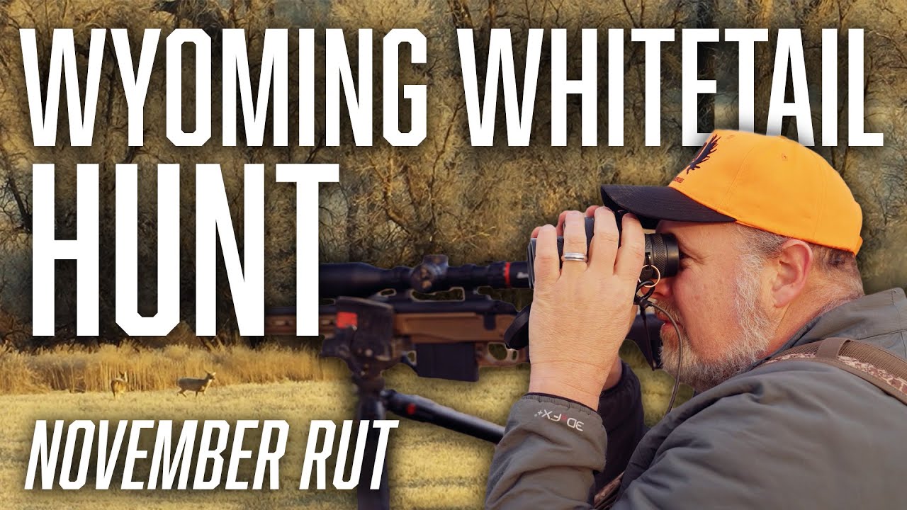 Wyoming Whitetail Hunt - November Rifle Season