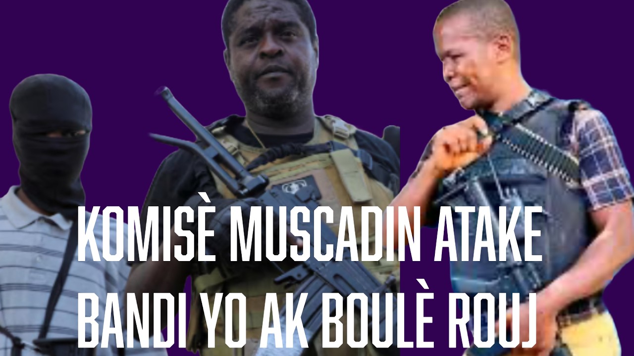 PM Alix Fils Aimé ap machandé yon Bwa Kalé nan dosié Muscadin yan