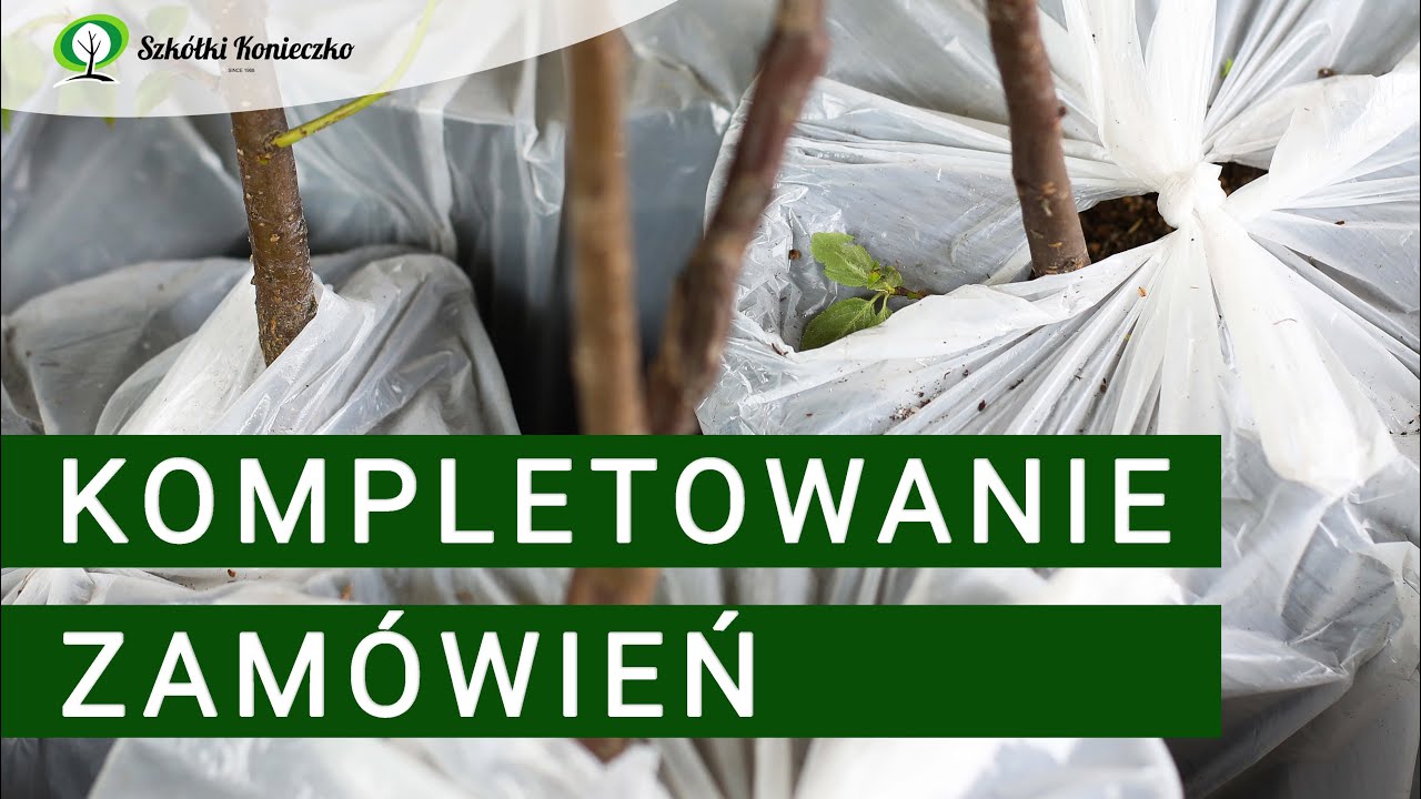 Szk&oacute;łki Konieczko - Jak kompletujemy zam&oacute;wienia?