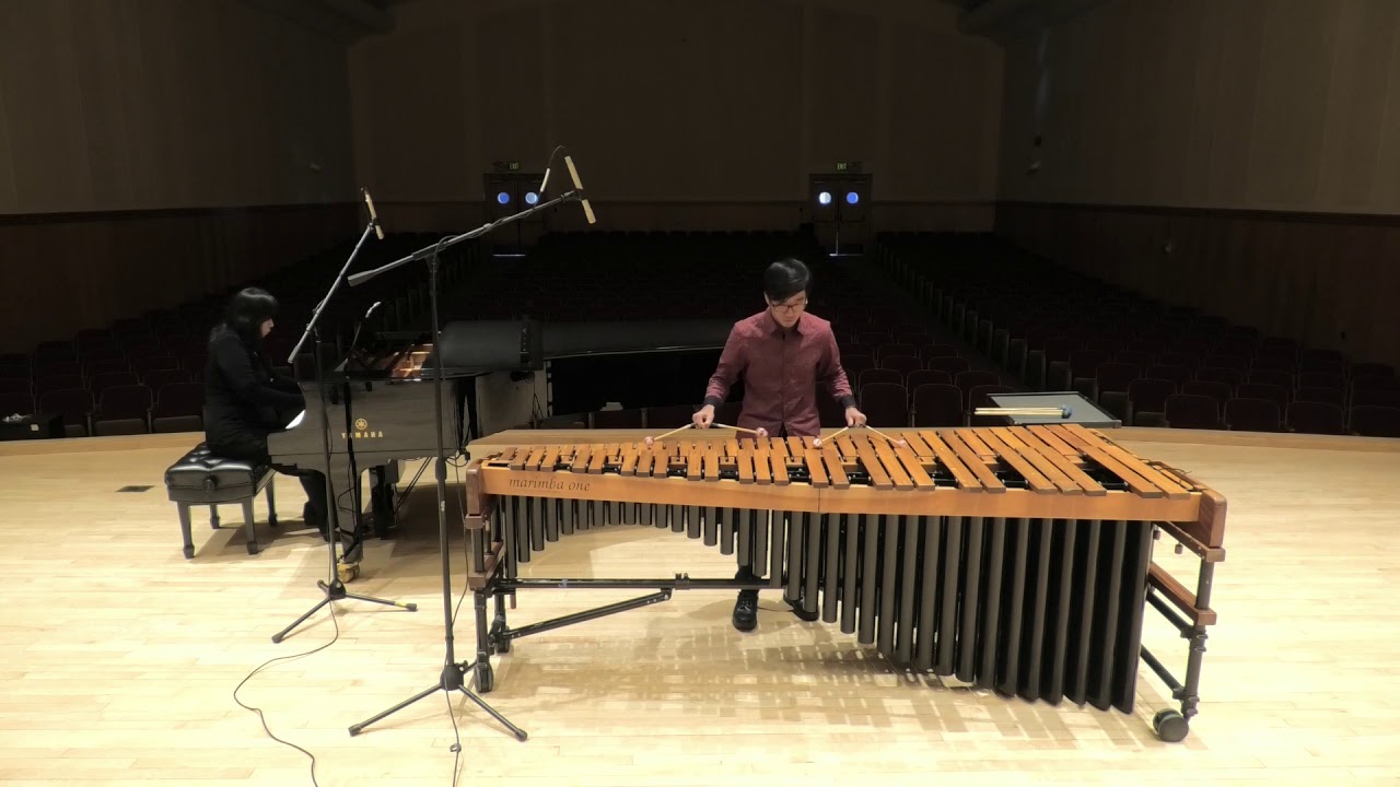 Concerto for Marimba, 1st Movement by Sergei Golovko