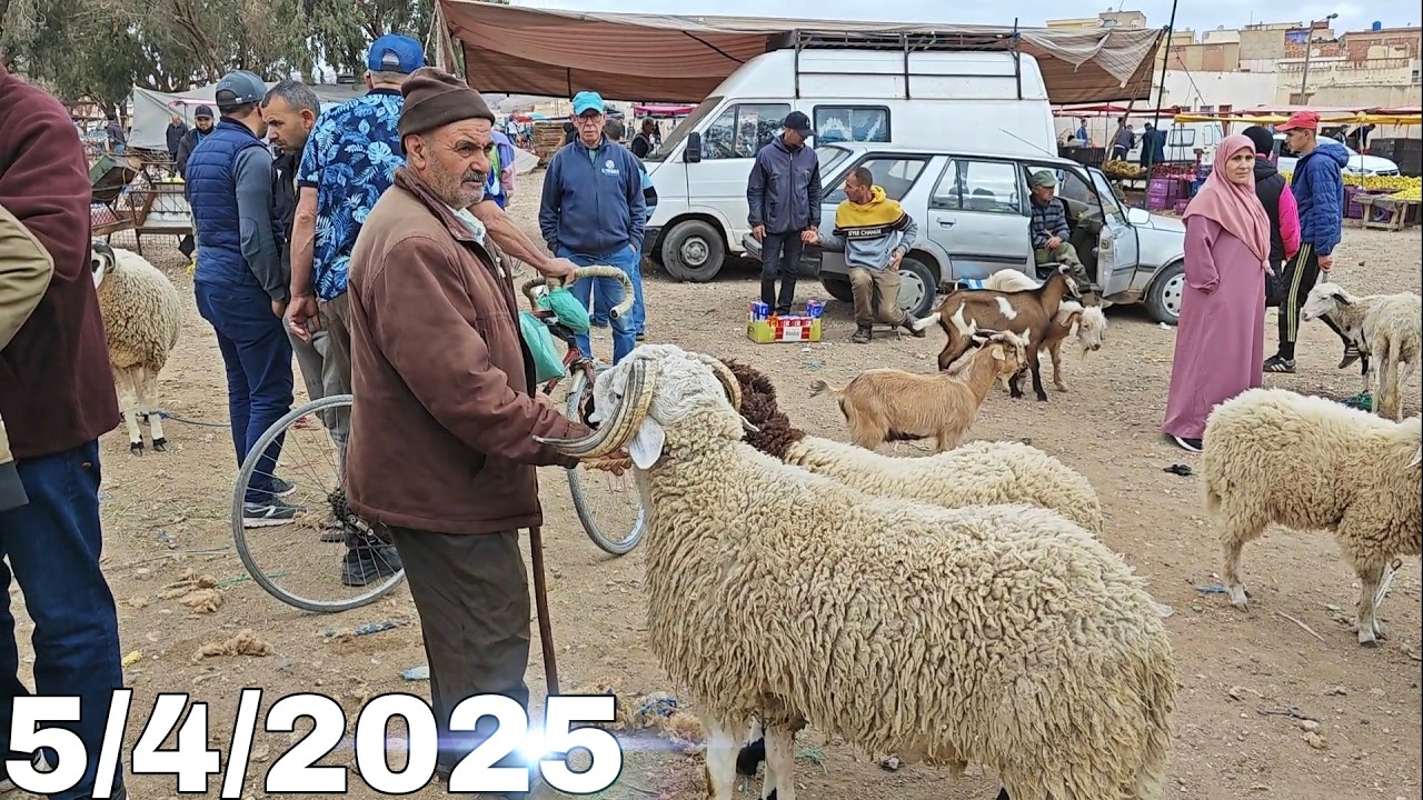 أثمنة الأغنام 🐏 والخضر 🍎 والفواكه🍓 من أحد أشهر الاسواق في الناظور سوق الأسبوعي سلوان بتاريخ 5/4/2025