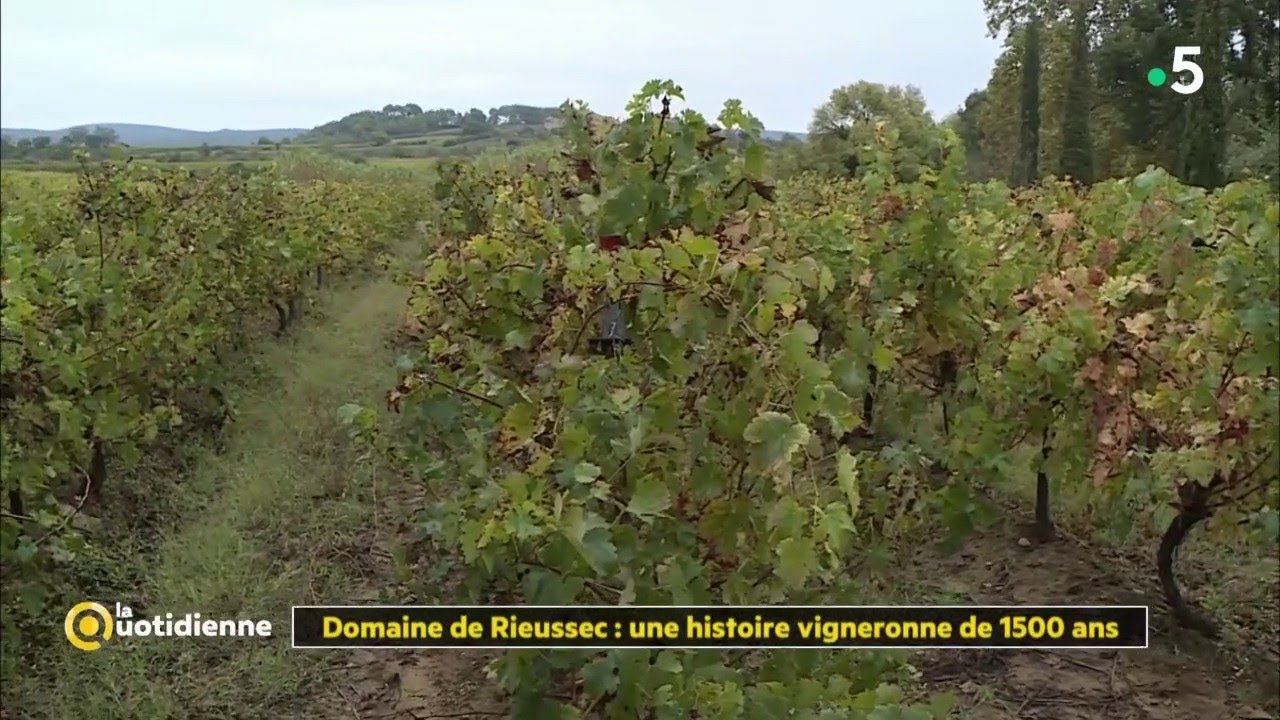 Domaine de Rieussec : une histoire vigneronne de 1500 ans