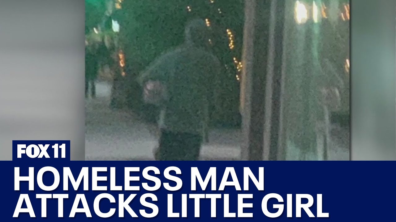 6-year-old girl attacked in Santa Monica