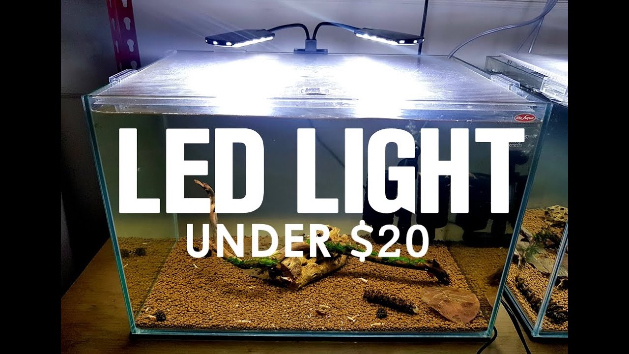 LED AQUARIUM LIGHT UNDER $20!!!