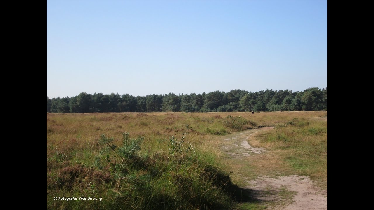 Park en landgoed Ginkelduin in Leersum door Tine de Jong