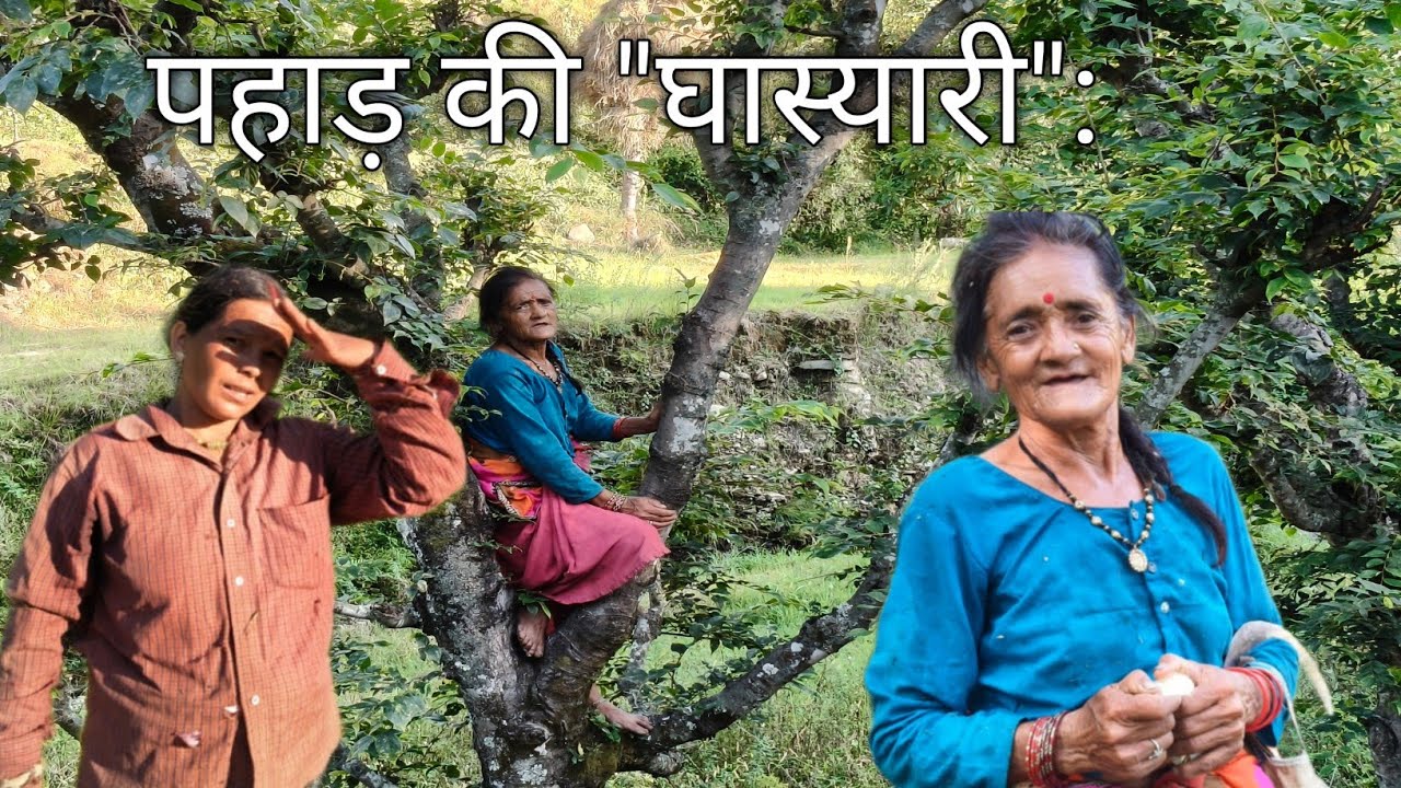 पहाड़ की 
