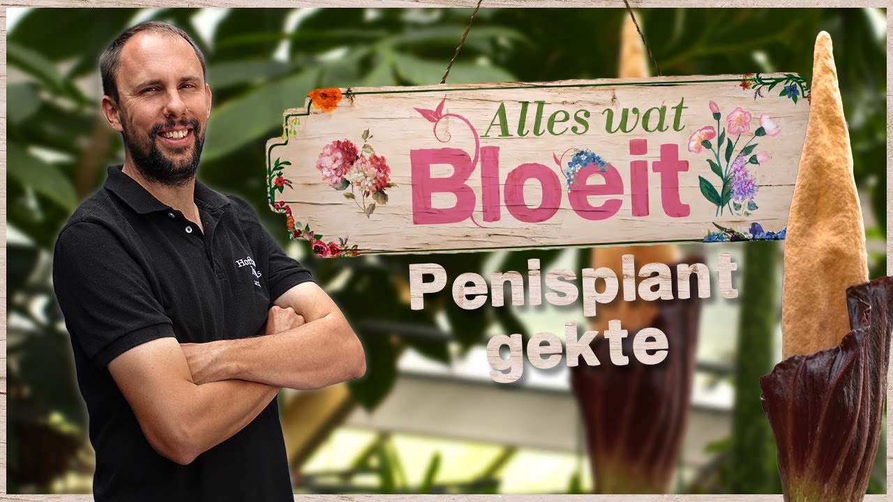 Penisplant gekte | Alles Wat Bloeit