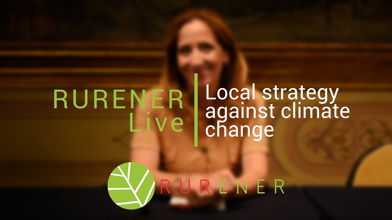 Local strategy against climate change - An example in Portugal