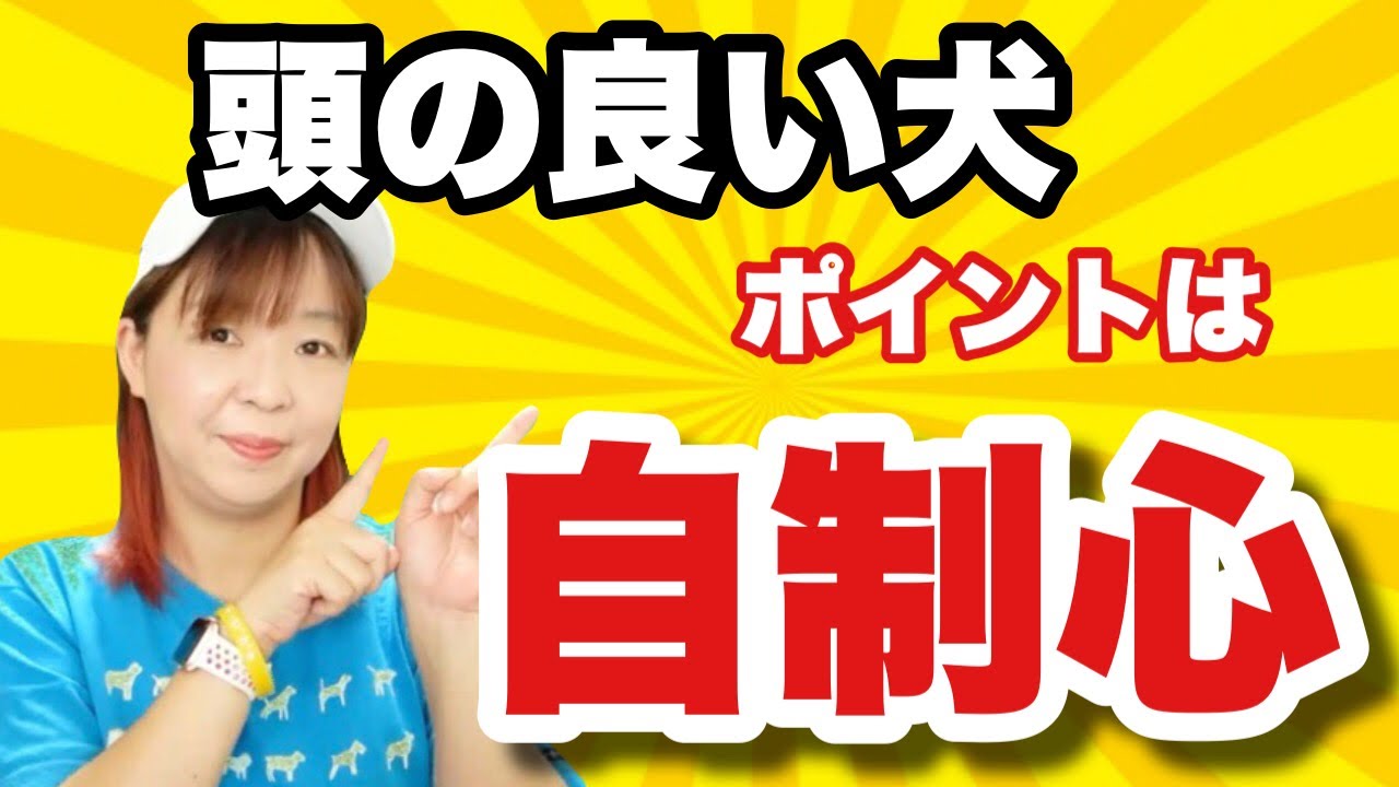 頭の良い犬の条件は『自制心』にあった！自制心を育てるトレーニングをしよう！！