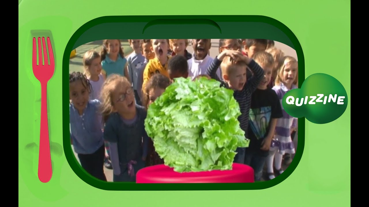 Quel est le repas préféré des escargots ?  QUIZZINE (la salade)