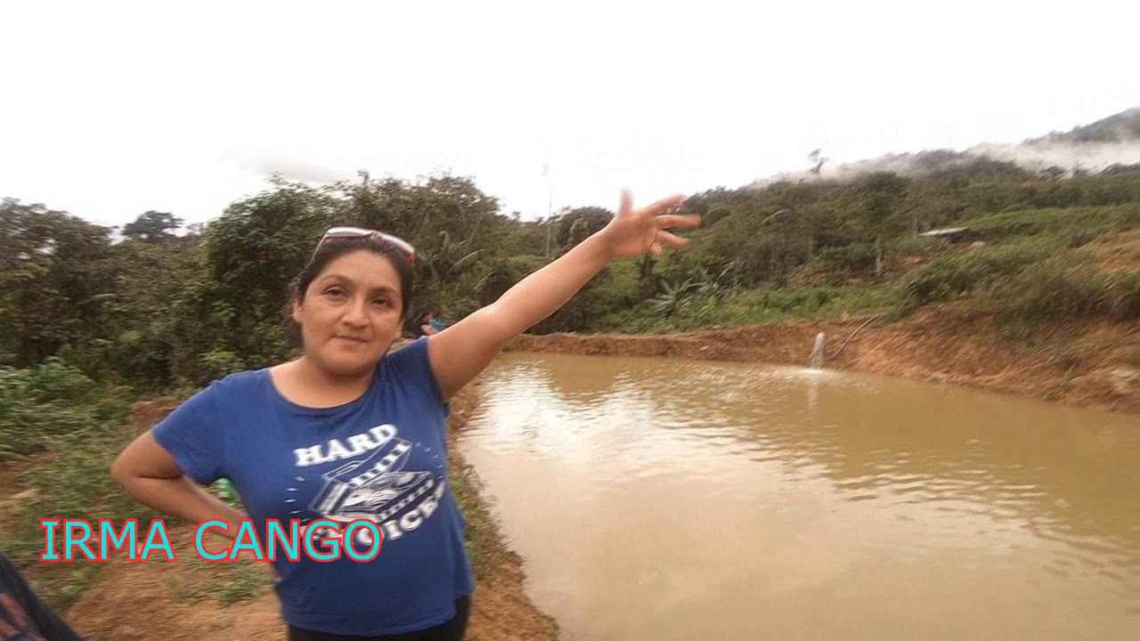 TILAPIA, NEGOCIO extraordinario.
