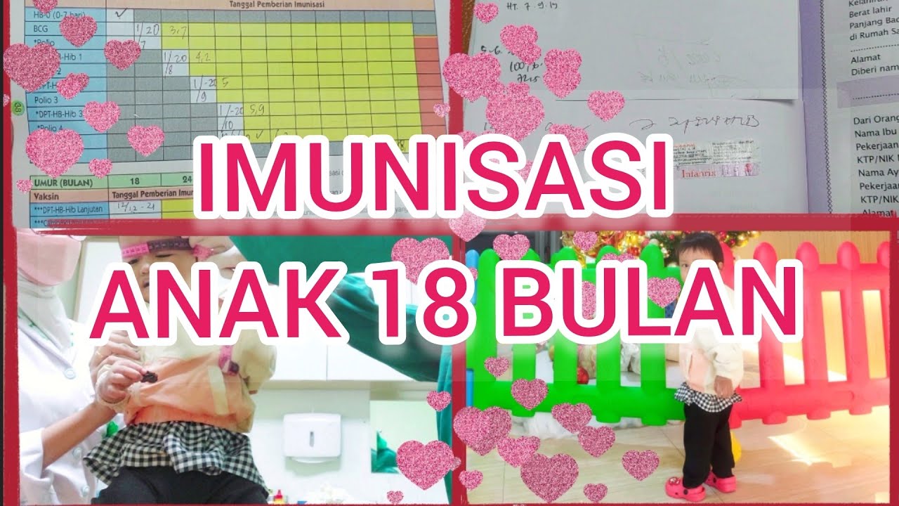IMUNISASI ANAK 18 BULAN