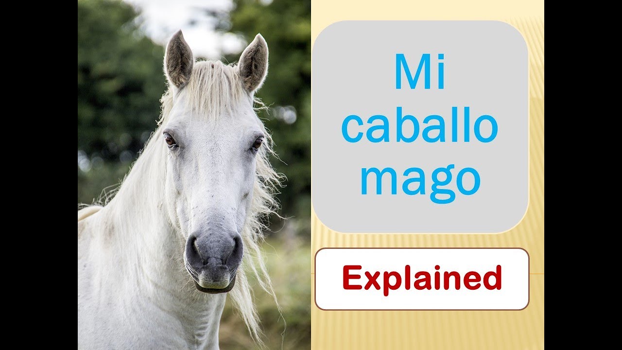 Mi caballo mago: Explained