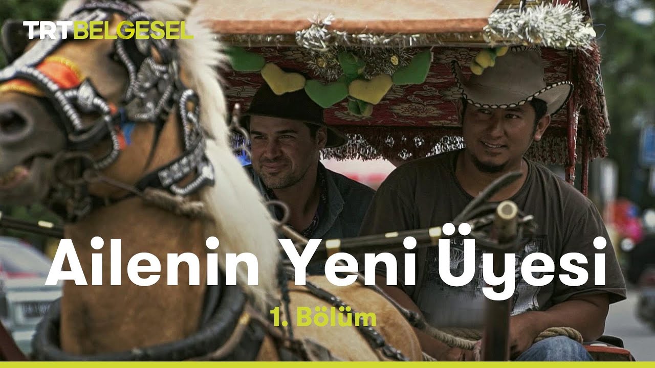 Ailenin Yeni &Uuml;yesi | Sumatra | TRT Belgesel