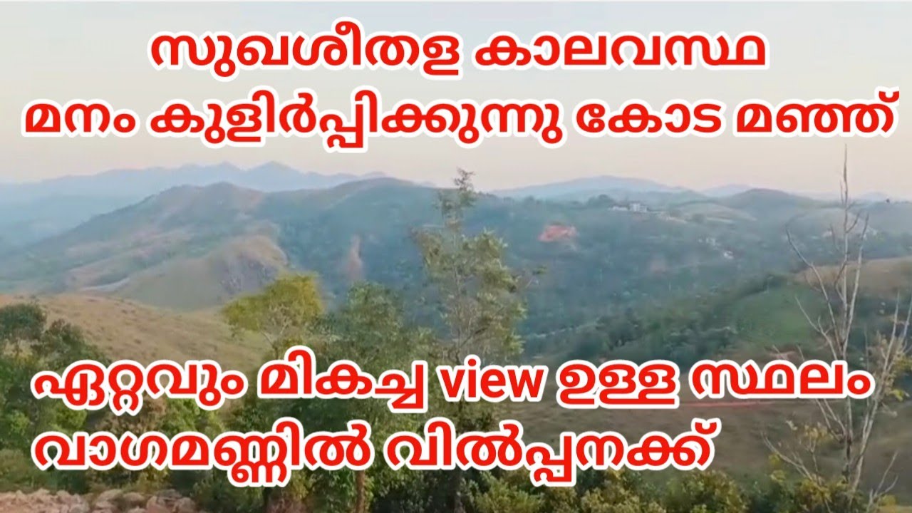 ഏറ്റവും മികച്ച view ഉളള 25 സെന്റ് വാഗമണ്ണിൽ വിൽപ്പനക്ക് # land for sale in vagamon #