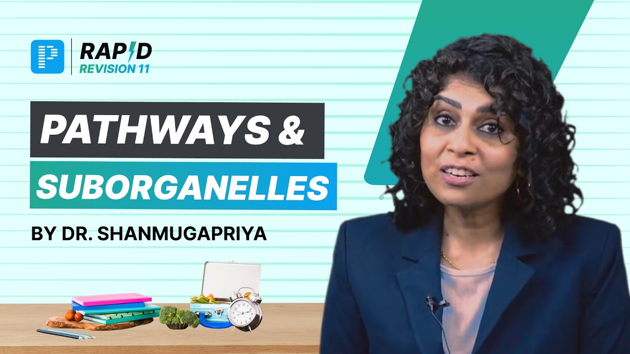 Version XI Rapid Revision Sample Video | Pathways & Suborganelles By Dr. Shanmugapriya