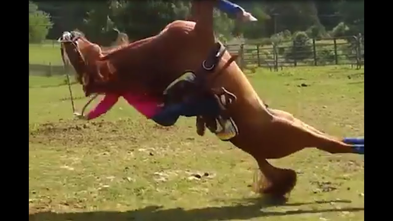 Definitely not a horse crunching a human