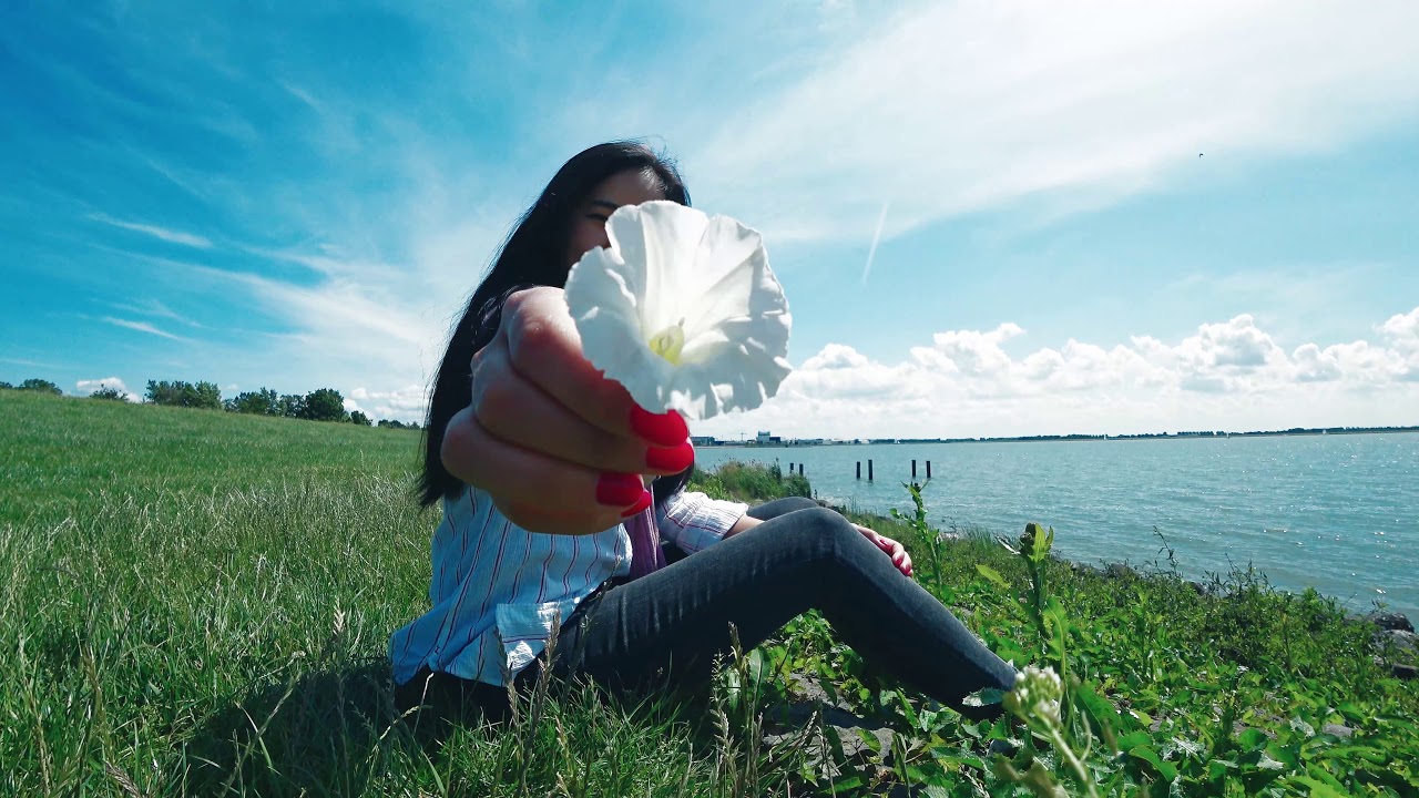 Уик-энд в Нидерландах/Рыбалка (Lemmer, Netherlands | June 2019)